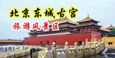 生殖器插入美女屁眼国产精品中国北京-东城古宫旅游风景区