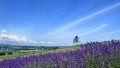 大鸡巴爆艹日本一地6日游  境外旅游 6880元/人